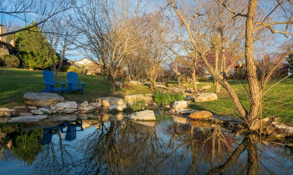 a small pond with a few trees and blue chairs