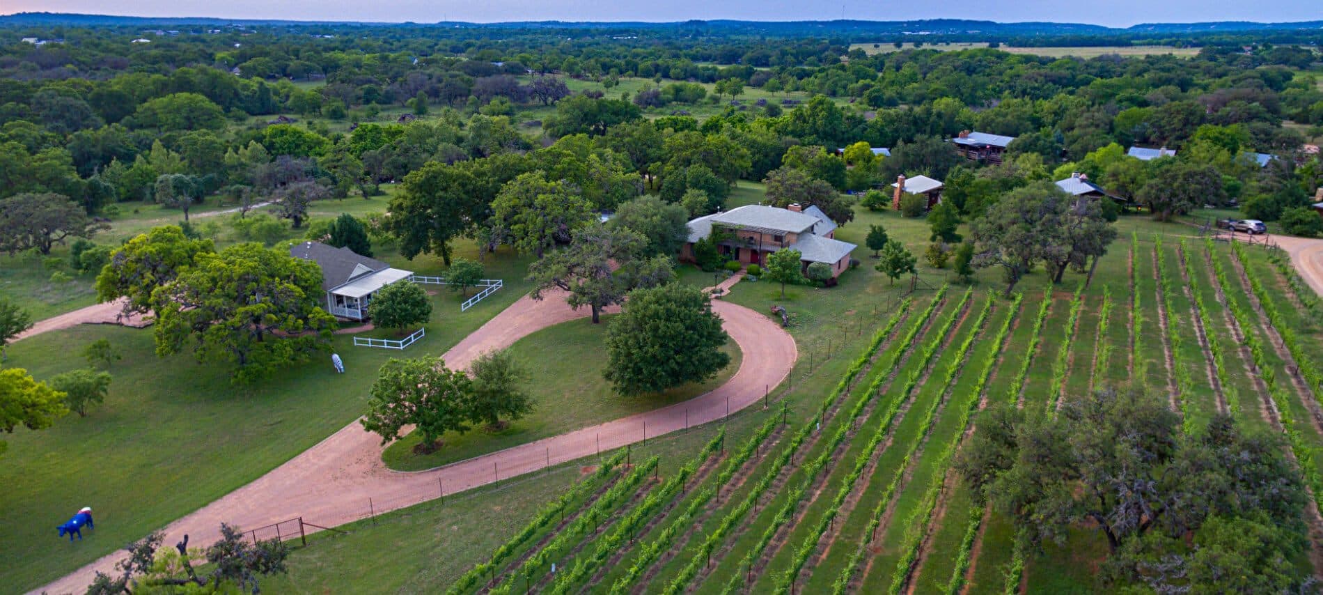 Large panoramic overhead view of vineyards and houses in rolling green hills.