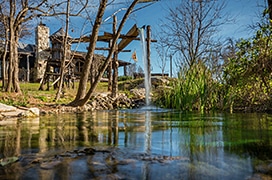 View over a pond with waterfall and various vegetation. Cabin in the background.