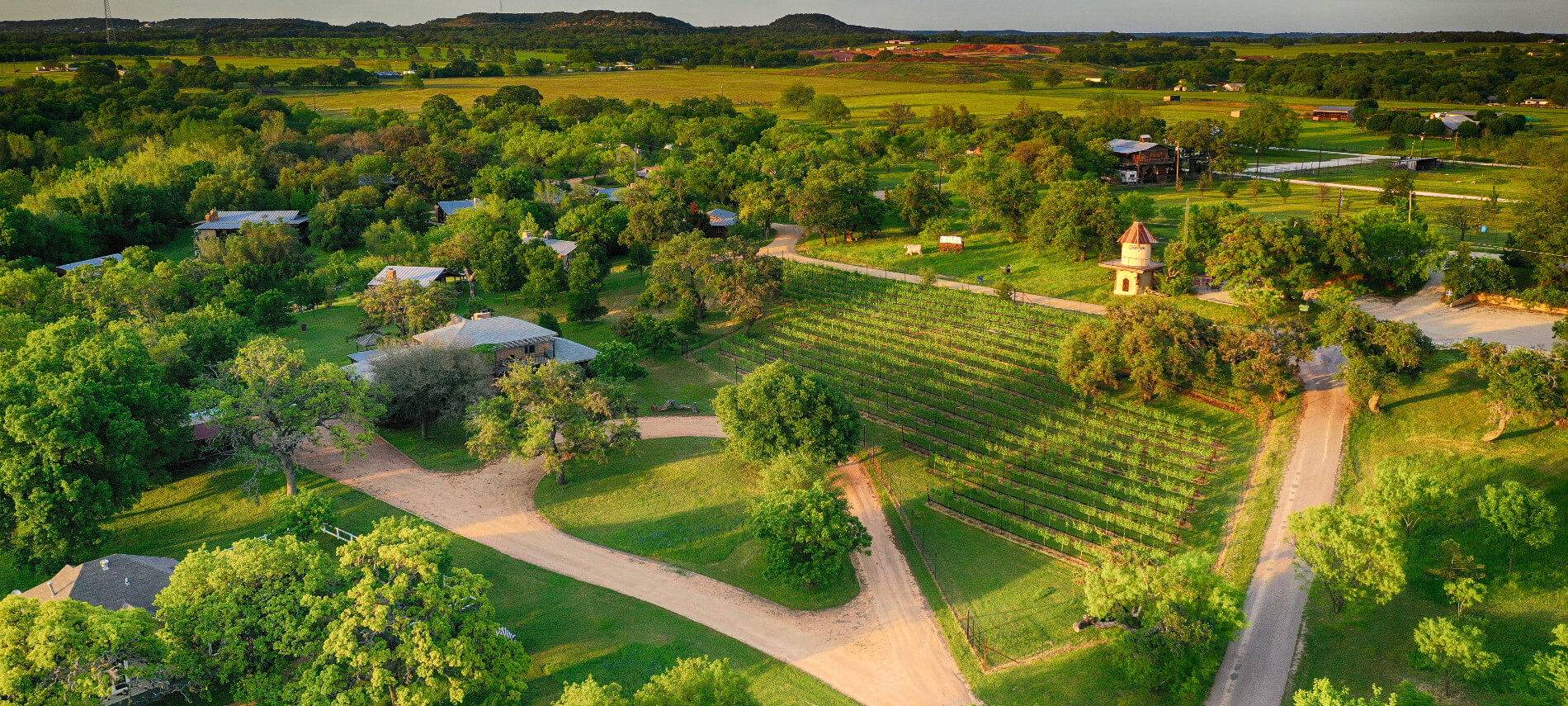 Large panoramic overhead view of vineyards and houses in rolling green hills.
