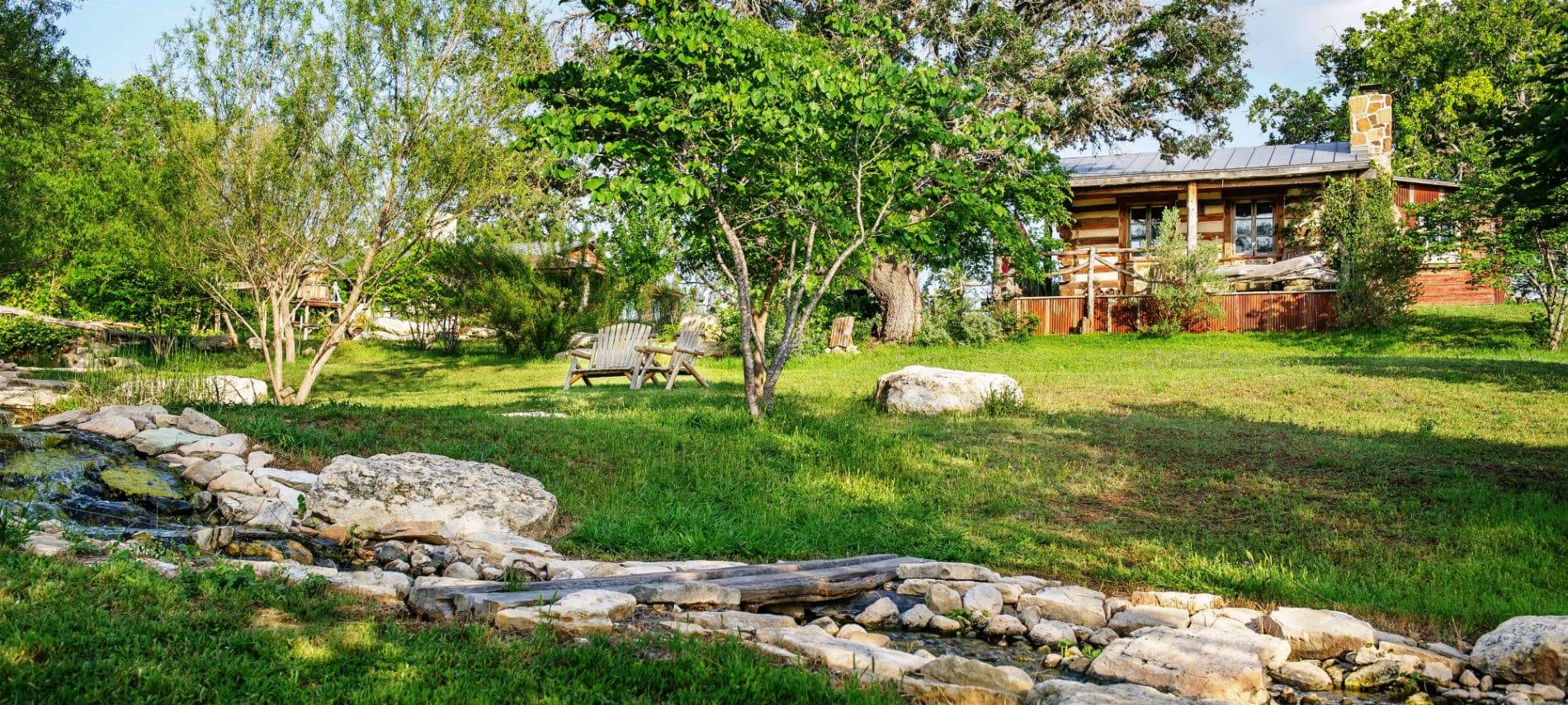 Picture of the yard.
